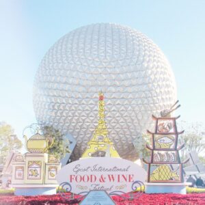 disney park tips